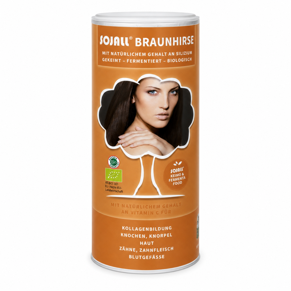 SOJALL - Braunhirse (bio), 250 g